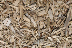 biomass boilers Rydon