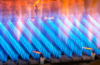 Rydon gas fired boilers